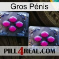 Gros Pénis 01